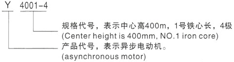 西安泰富西玛Y系列(H355-1000)高压YJTFKK4503-4-560KW三相异步电机型号说明