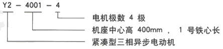 YR系列(H355-1000)高压YJTFKK4503-4-560KW三相异步电机西安西玛电机型号说明